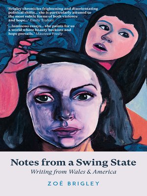 cover image of Notes From a Swing State